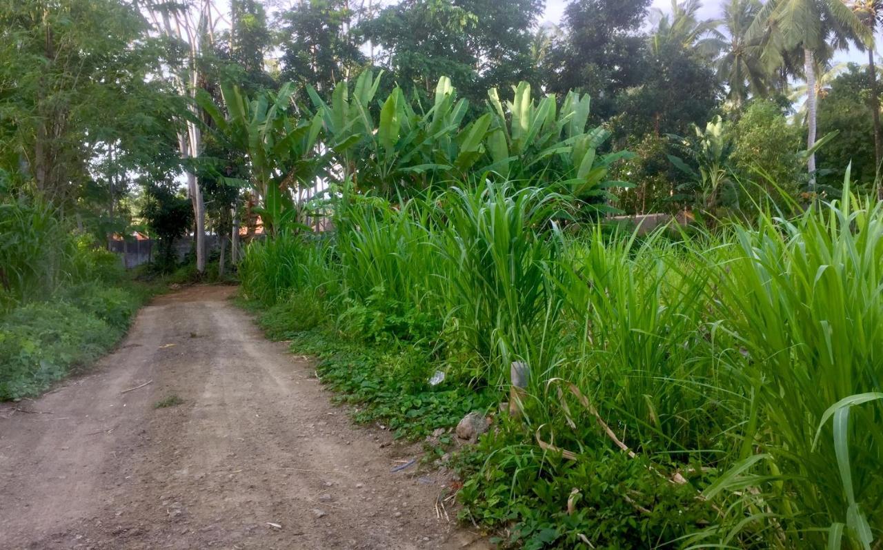 Chemel Homestay Kuta  Exterior foto